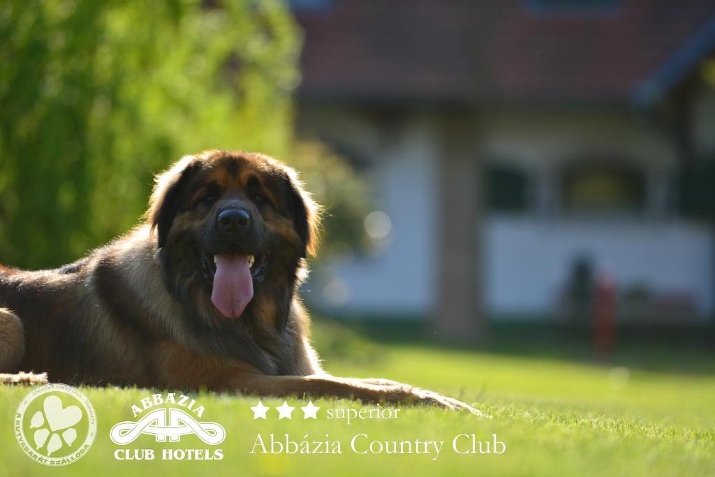 Готель Abbazia Country Club Nemesnep Екстер'єр фото